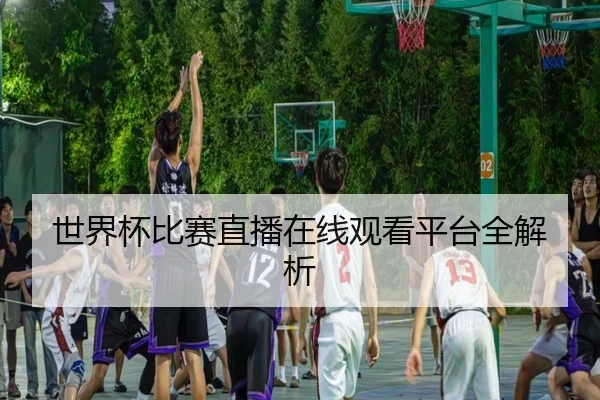 世界杯比赛直播在线观看平台全解析