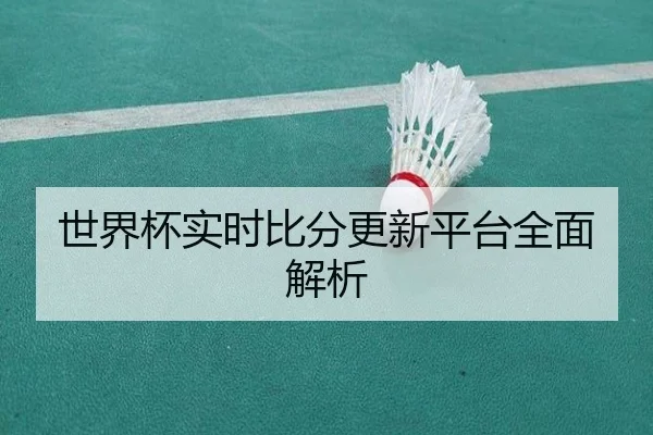 世界杯实时比分更新平台全面解析