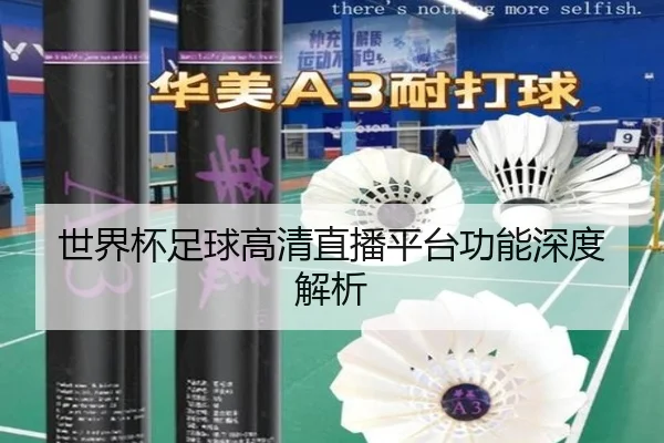 世界杯足球高清直播平台功能深度解析