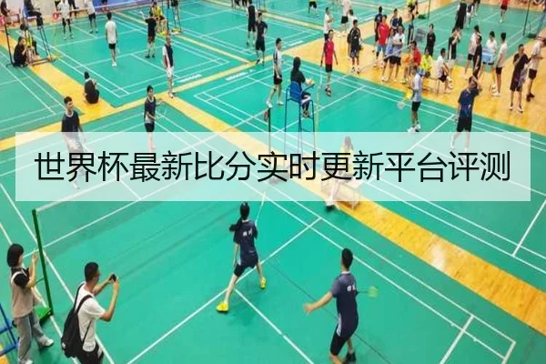 世界杯最新比分实时更新平台评测