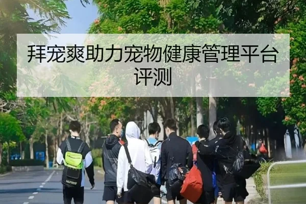拜宠爽助力宠物健康管理平台评测