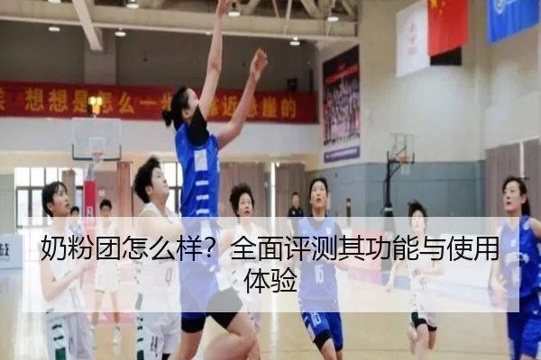 奶粉团怎么样？全面评测其功能与使用体验