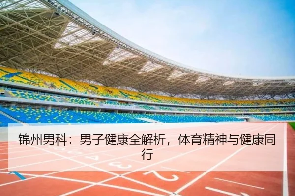 锦州男科：男子健康全解析，体育精神与健康同行
