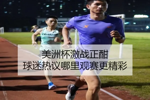 美洲杯激战正酣 球迷热议哪里观赛更精彩